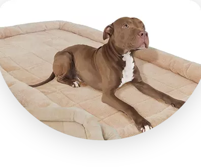 Durable Kennel Pads