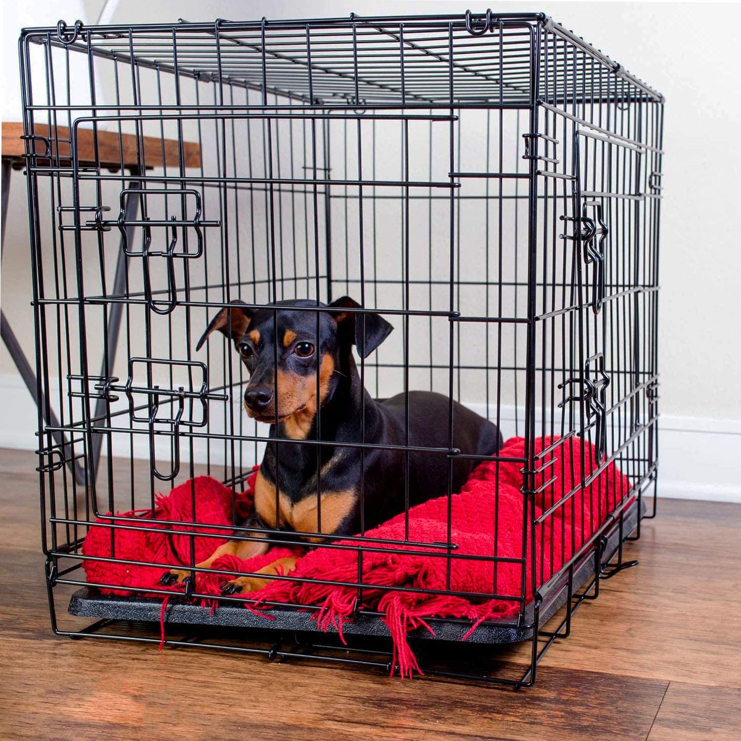 Training Crates Collapsible Dog Carrier | Products | DogCrates – Dog Crates