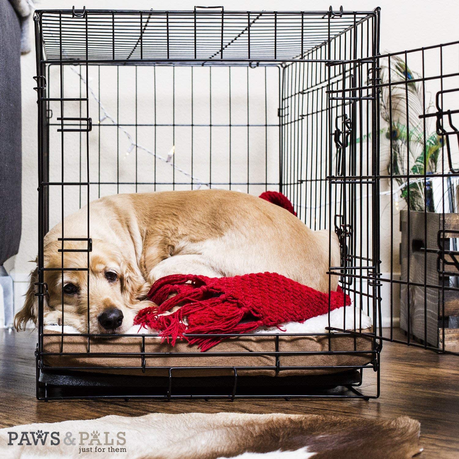 Training Crates Collapsible Dog Carrier | Products | DogCrates – Dog Crates