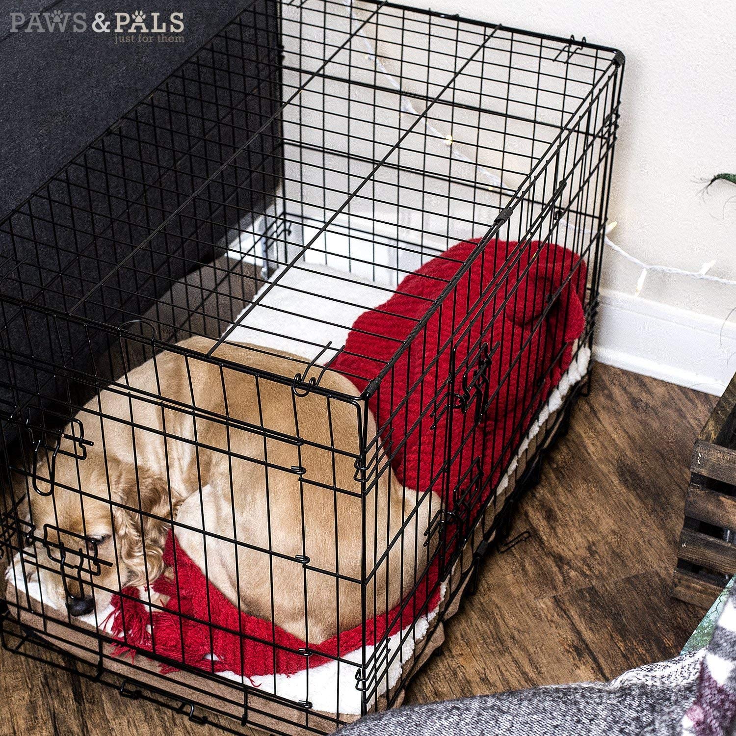 Training Crates Collapsible Dog Carrier | Products | DogCrates – Dog Crates
